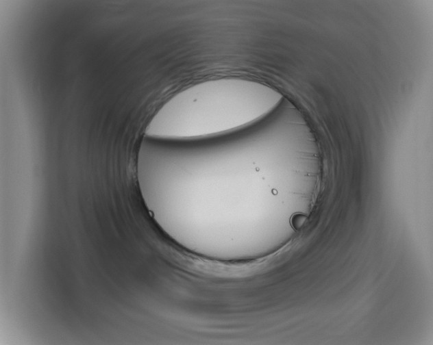 X0000114120048200910051308