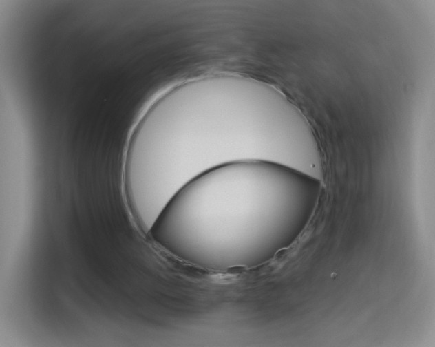 X0000114120052200910051307