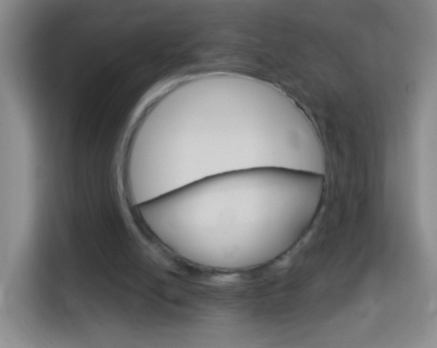 X0000114120054200910051307