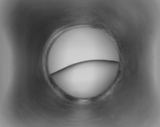 X0000114120055200910051307