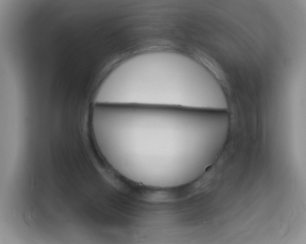 X0000114120058200910051307
