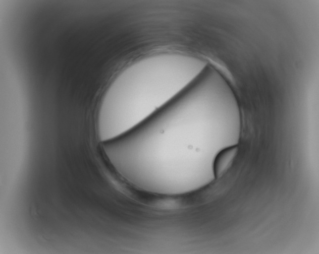 X0000114120061200910051307