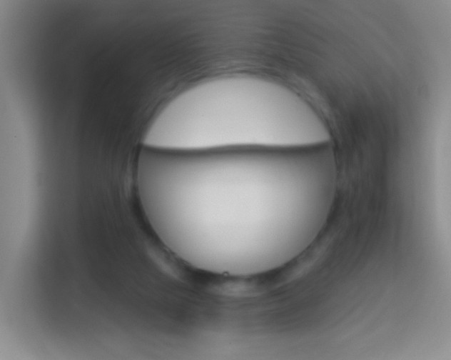 X0000114120065200910051307