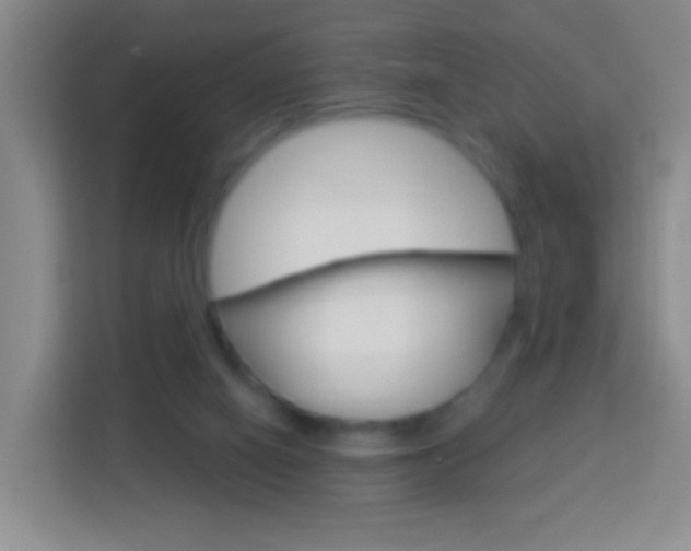 X0000114120066200910051307