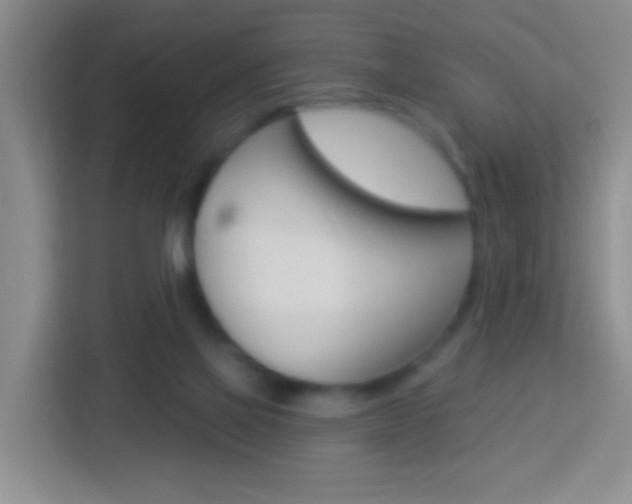 X0000114120069200910051307