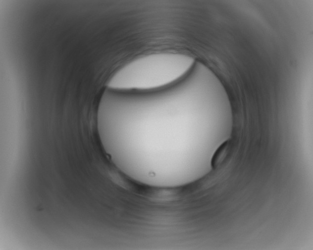 X0000114120081200910051308