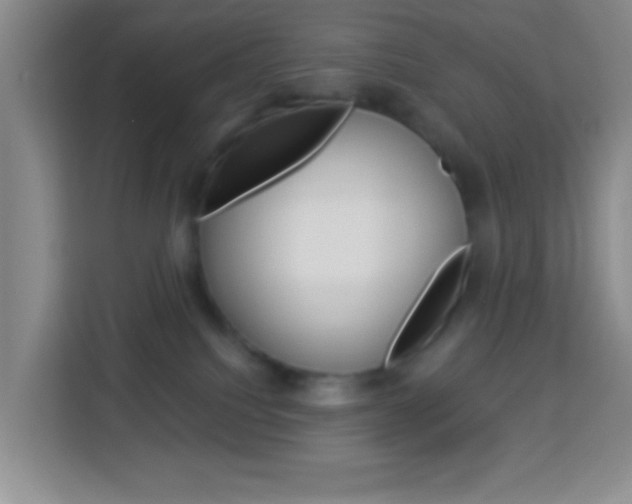 X0000114120088200910051308