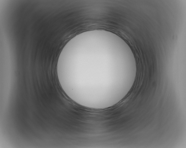 X0000114120096200910051308