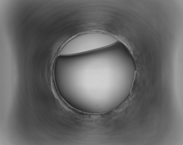 X0000114120097200910051307