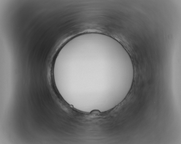 X0000114120098200910051307