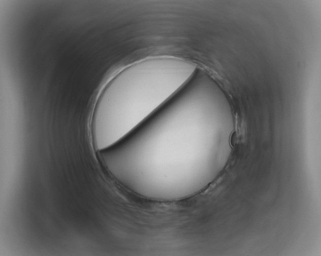 X0000114120099200910051307