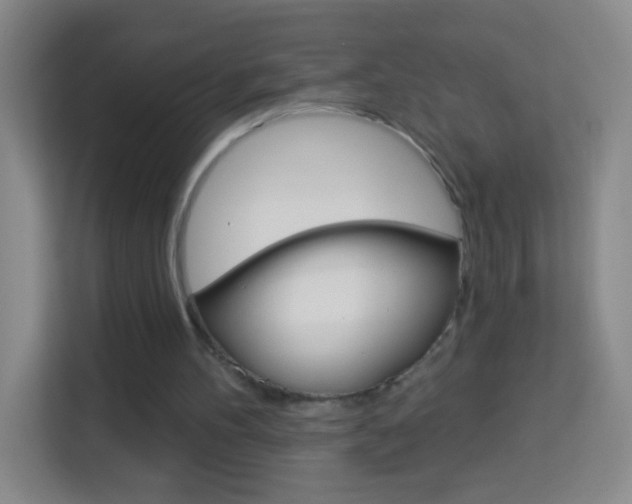 X0000114120100200910051307