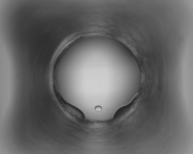 X0000114120101200910051307