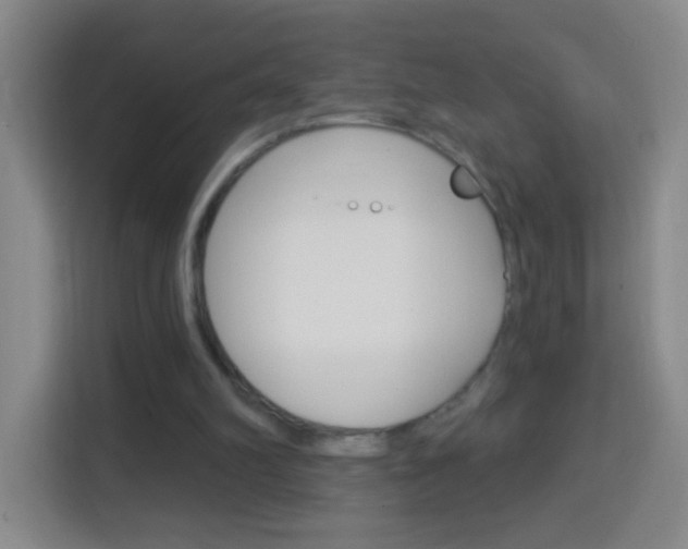 X0000114120102200910051307