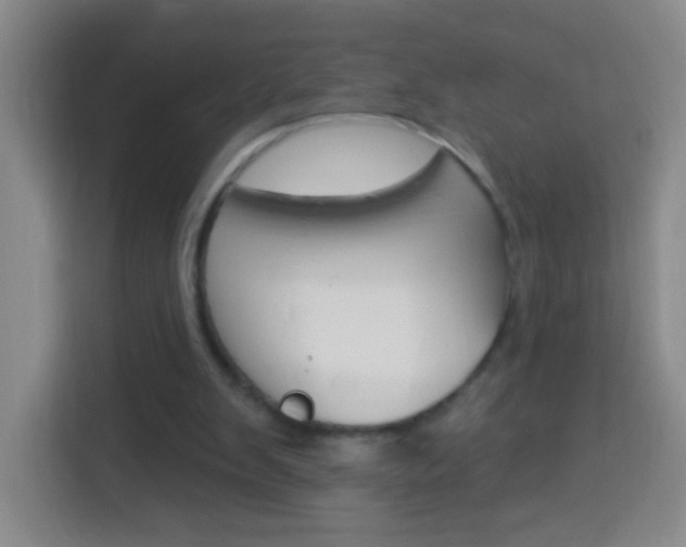X0000114120103200910051307