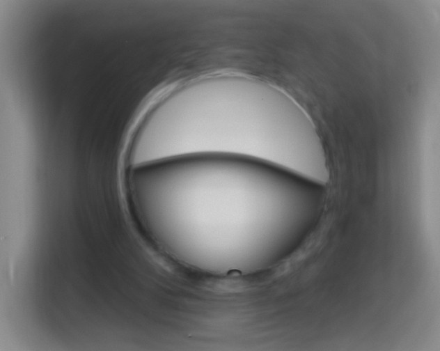 X0000114120104200910051307
