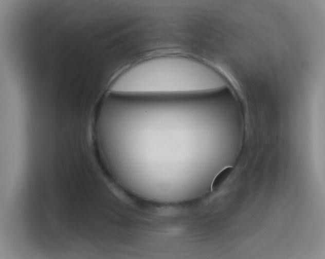 X0000114120105200910051307