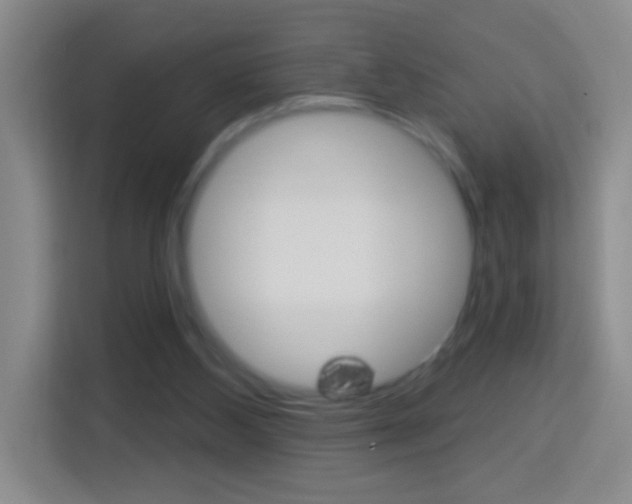 X0000114120108200910051307