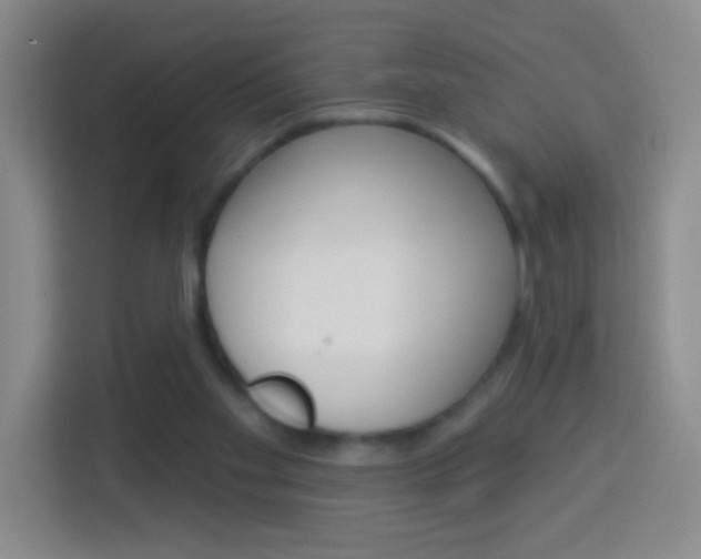 X0000114120109200910051307