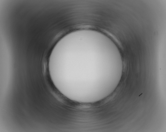X0000114120110200910051307