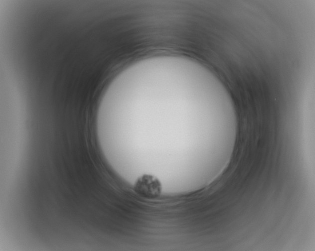 X0000114120116200910051307
