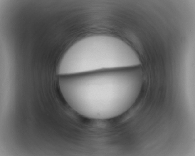 X0000114120127200910051307