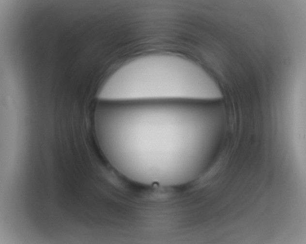 X0000114120128200910051307