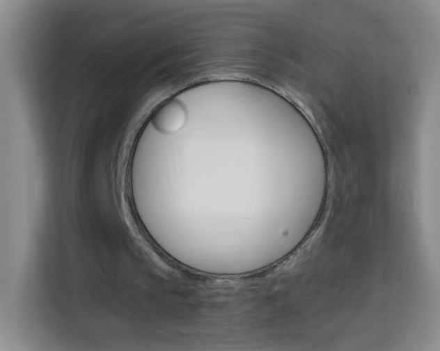 X0000114120145200910051306