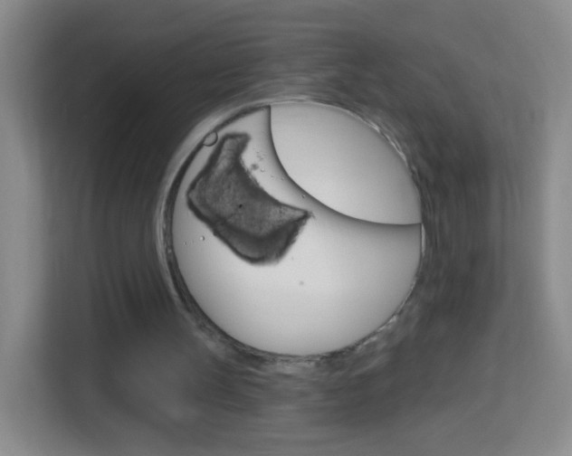 X0000114120147200910051306