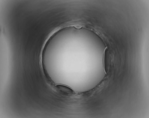 X0000114120148200910051306