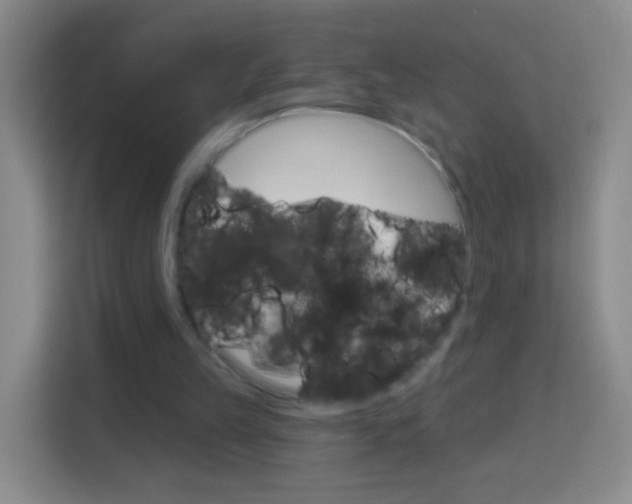 X0000114120149200910051306