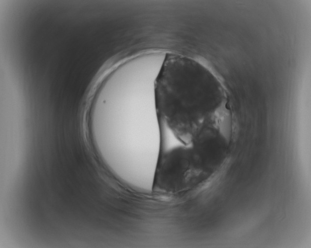 X0000114120151200910051306