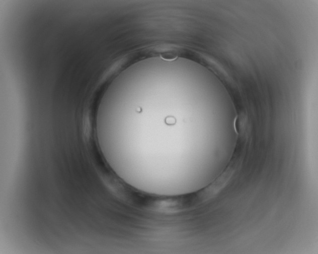 X0000114120158200910051306