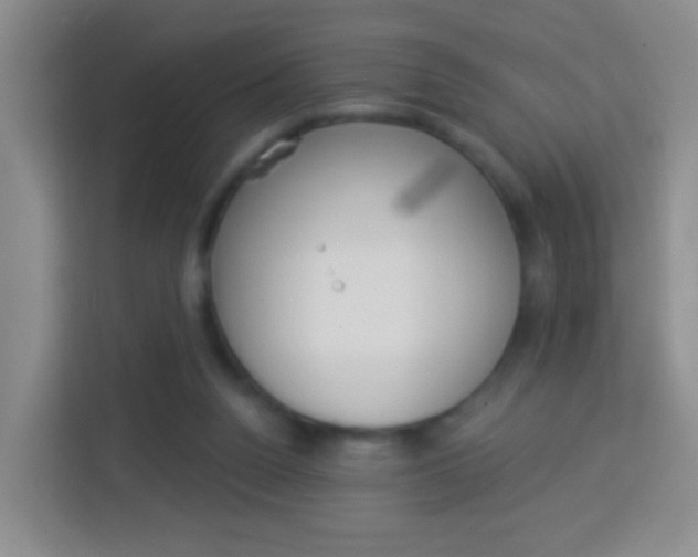 X0000114120160200910051306
