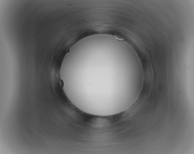 X0000114120180200910051306