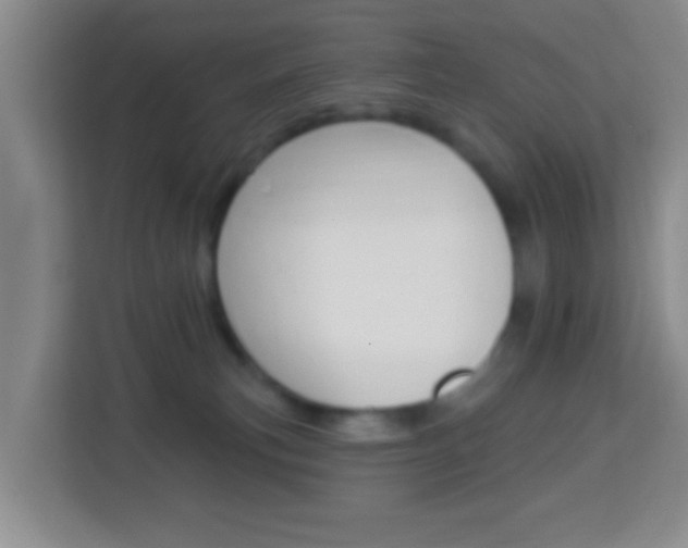 X0000114120183200910051306