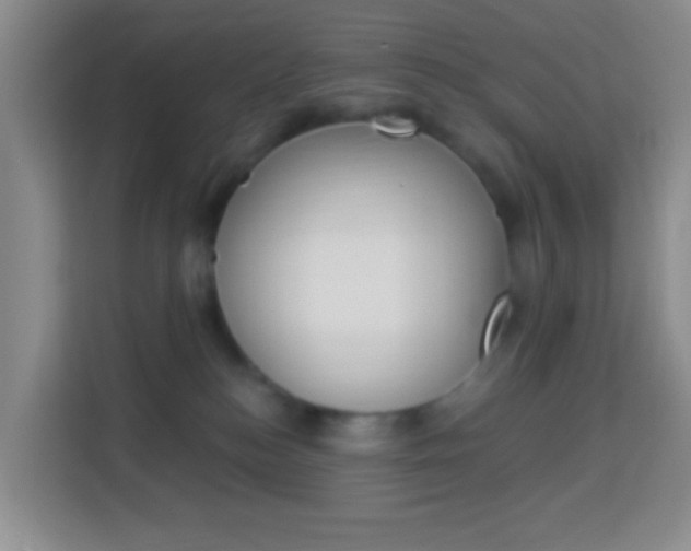 X0000114120184200910051306