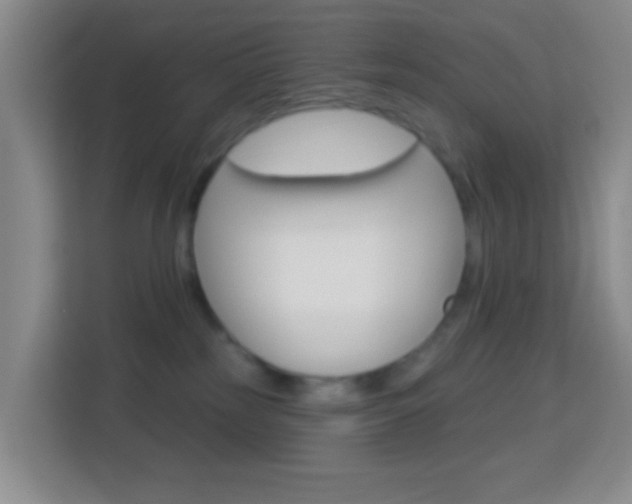 X0000114120185200910051307