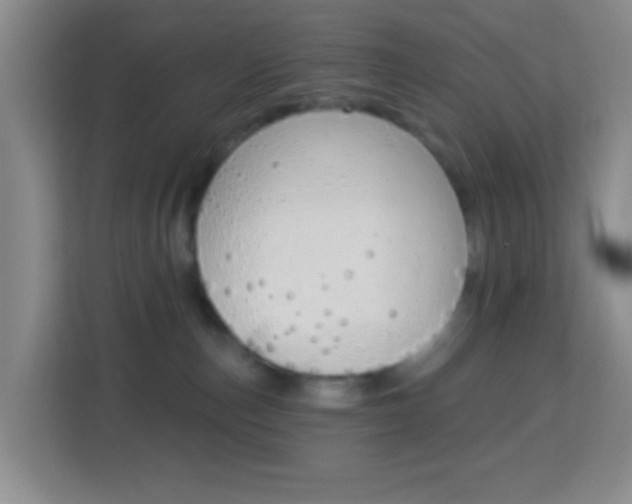 X0000114120187200910051307