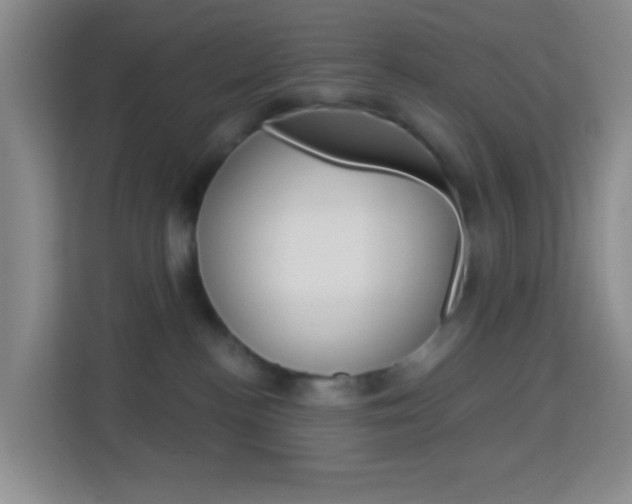 X0000114120188200910051307