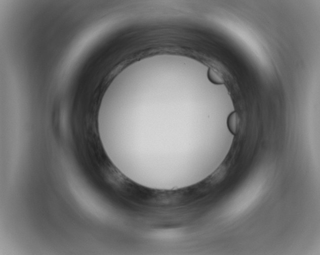 X0000114120189200910051307