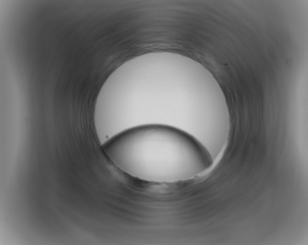 X0000114120190200910051307