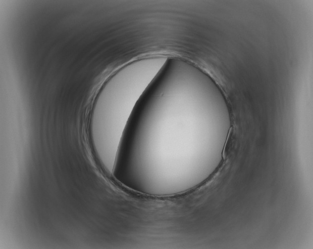 X0000114120193200910051306