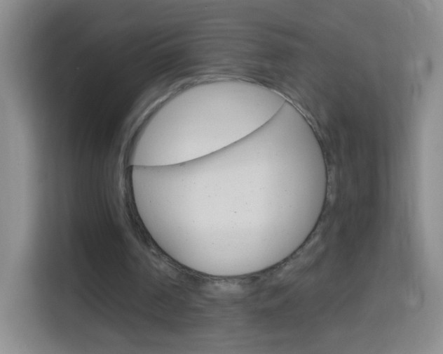 X0000114120194200910051306