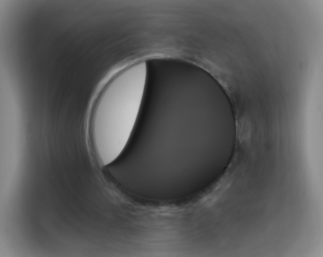 X0000114120196200910051306