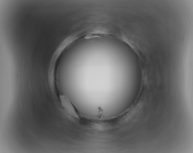 X0000114120199200910051306