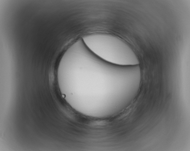 X0000114120202200910051306