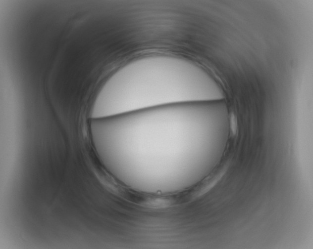 X0000114120205200910051306
