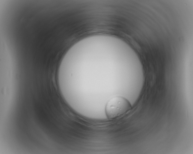 X0000114120209200910051306