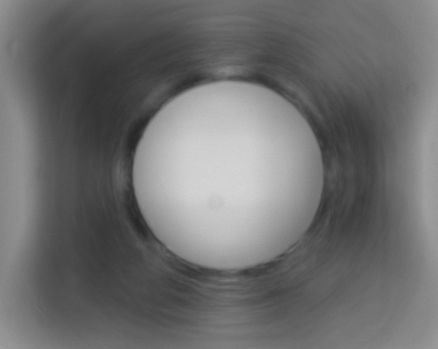 X0000114120210200910051306